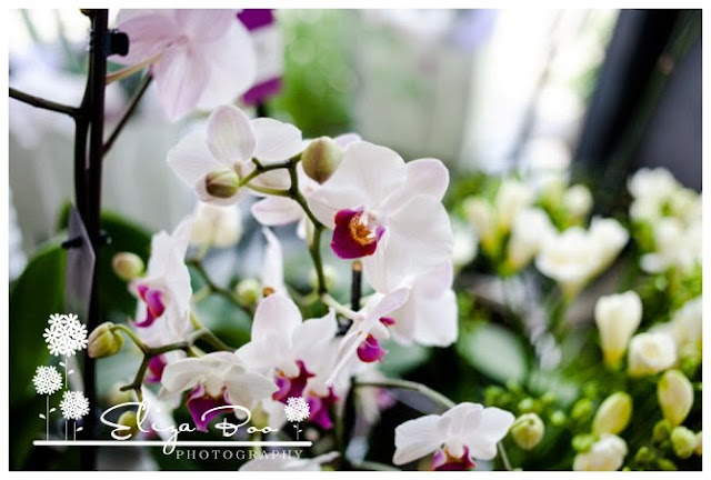 Weddings, Flowers & Brides: A Sisterhood Circle post.